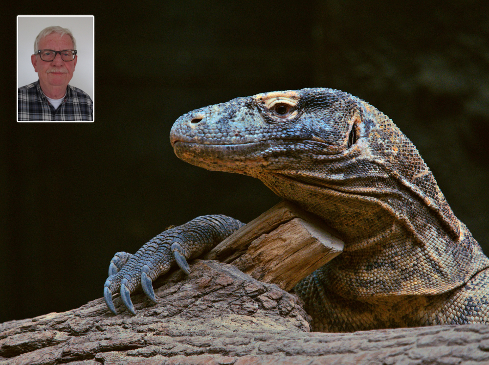Varan i naturen og portræt af biolog Knud Erik Heller