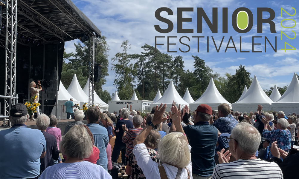 publikum til festival i 2023